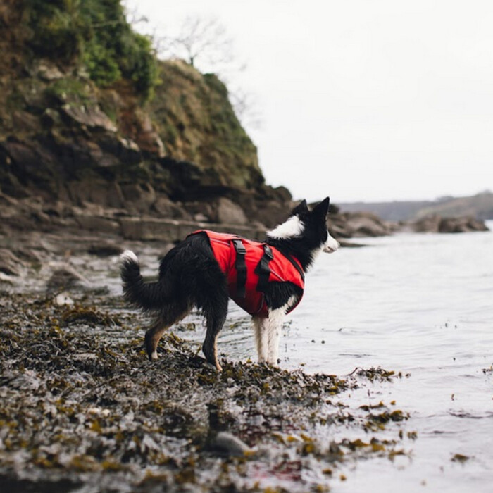 2024 Red Paddle Co Chaleco De Ayuda A La Flotabilidad Para Perros - Rojo